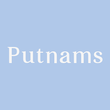 Amazing Discount On Putnams Pillow